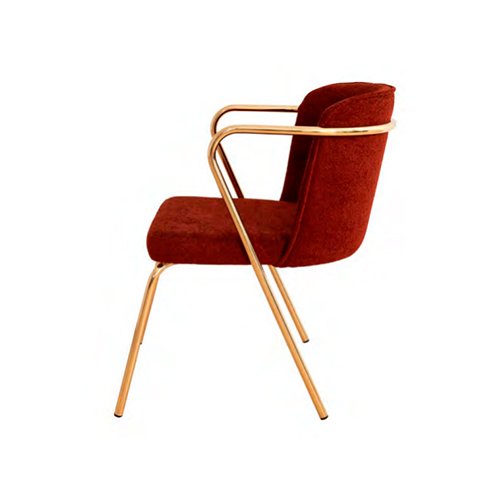 Tienda Primary Image