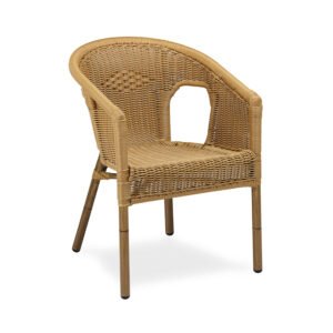 Ref.283