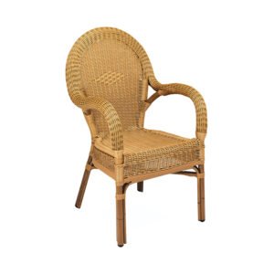 Ref.286