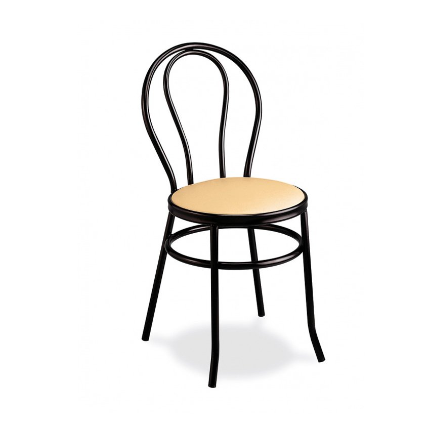 Ref.107